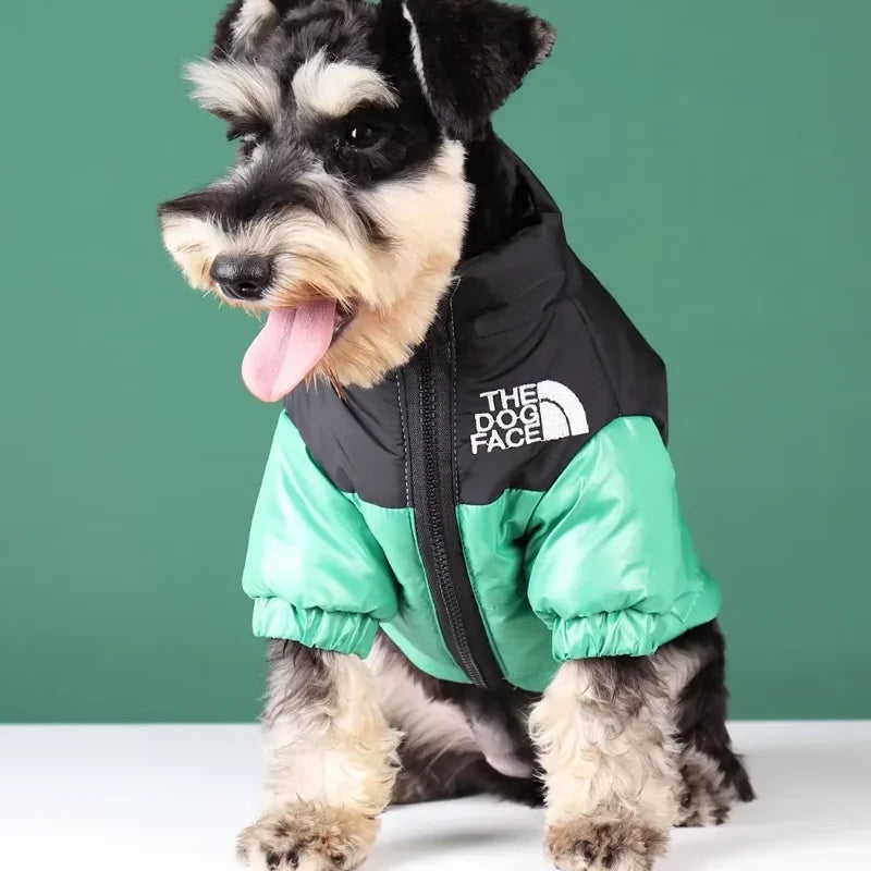 The dog face jacket - cute dog jacket