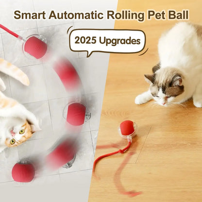 Automatic Rolling Ball with Tail