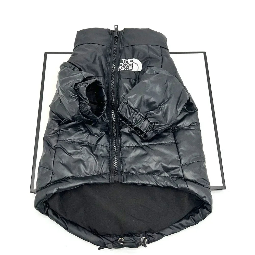 The dog face jacket - cute dog jacket