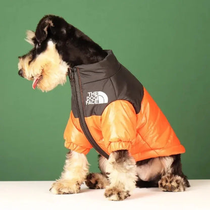 The dog face jacket - cute dog jacket